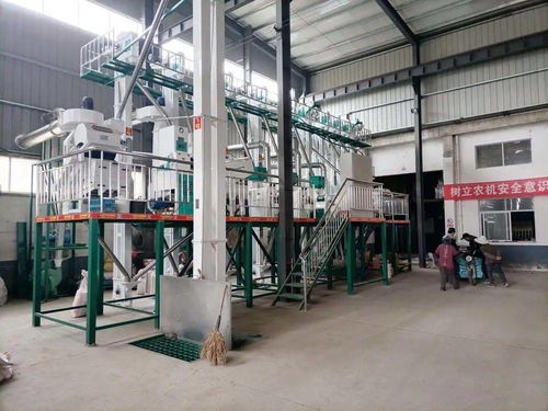 罗溪镇首台40T成套碾米设备在铁农农机专业合作社成功投产运行